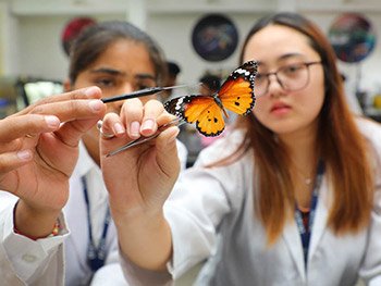 Entomlogy lab LPU